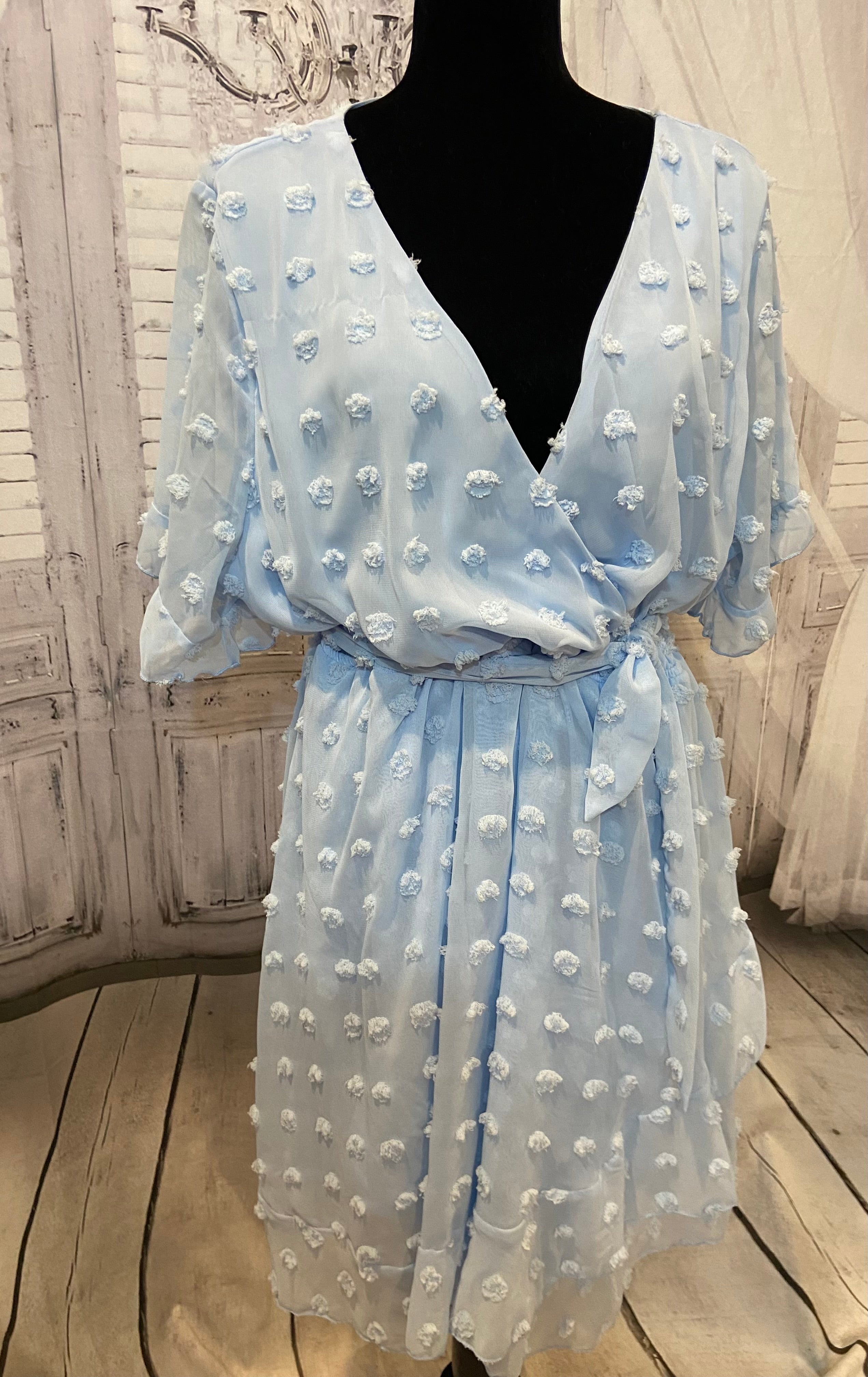 3 XL Plushe Blue Dress